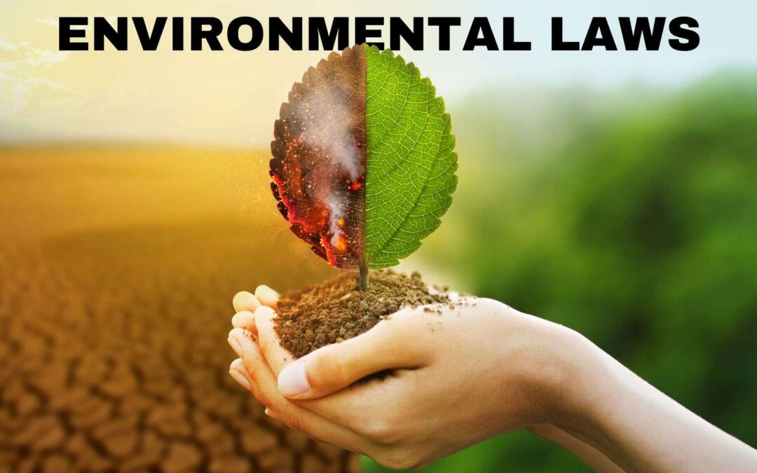 Why Environmental Laws Are Not Working in India?