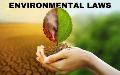 Why Environmental Laws Are Not Working in India?