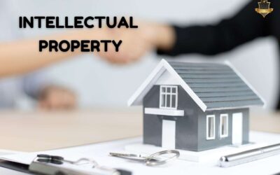 Liability of Intermediaries in IP Infringement Complaints